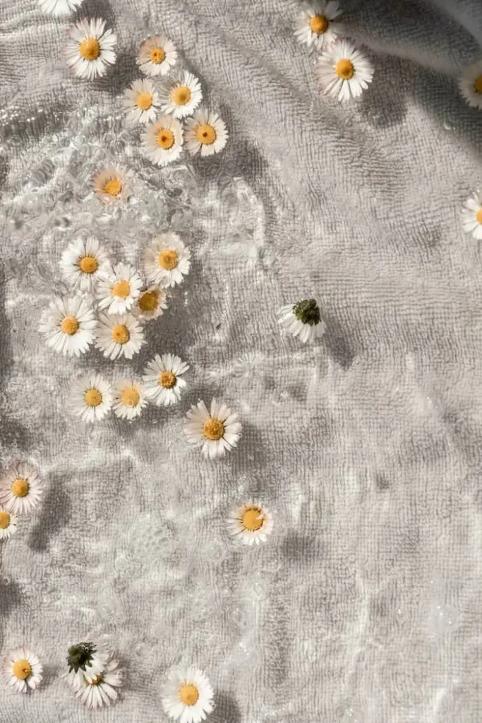 Flower petals floating in a bath in a mental health clinic